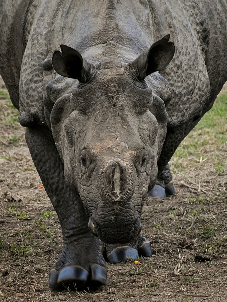Photograph by Sukanta Ghosh