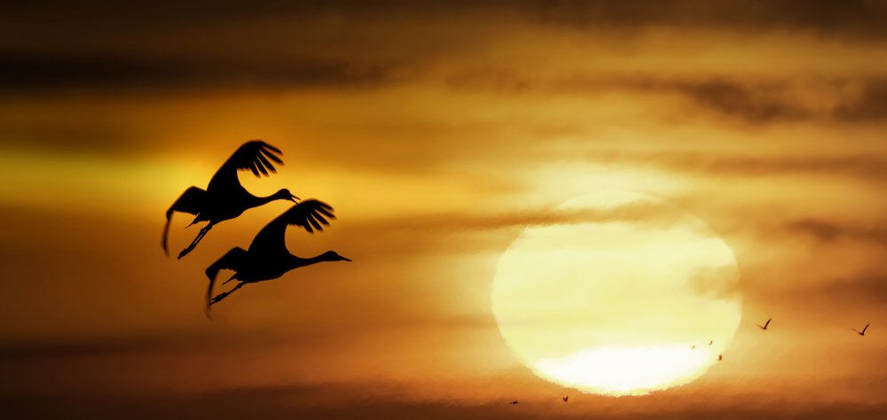 Photograph by  HITTHEROAD