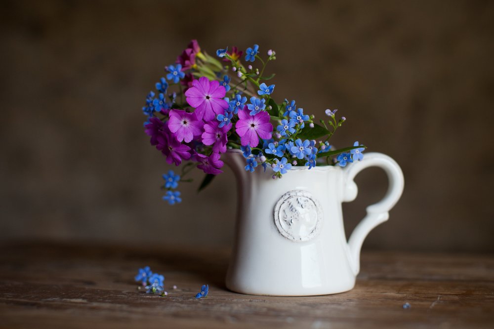 Photograph by фатова ольга игоревна