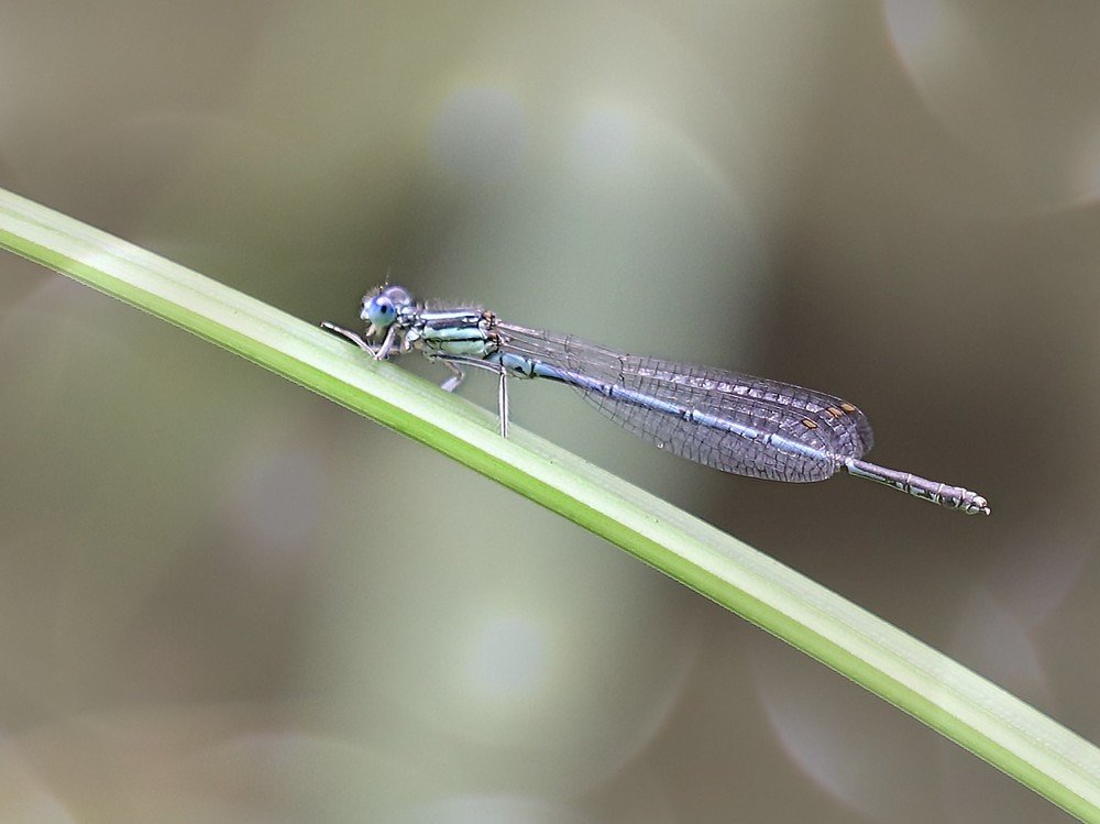 Photograph by Evgeniia Iakimenko