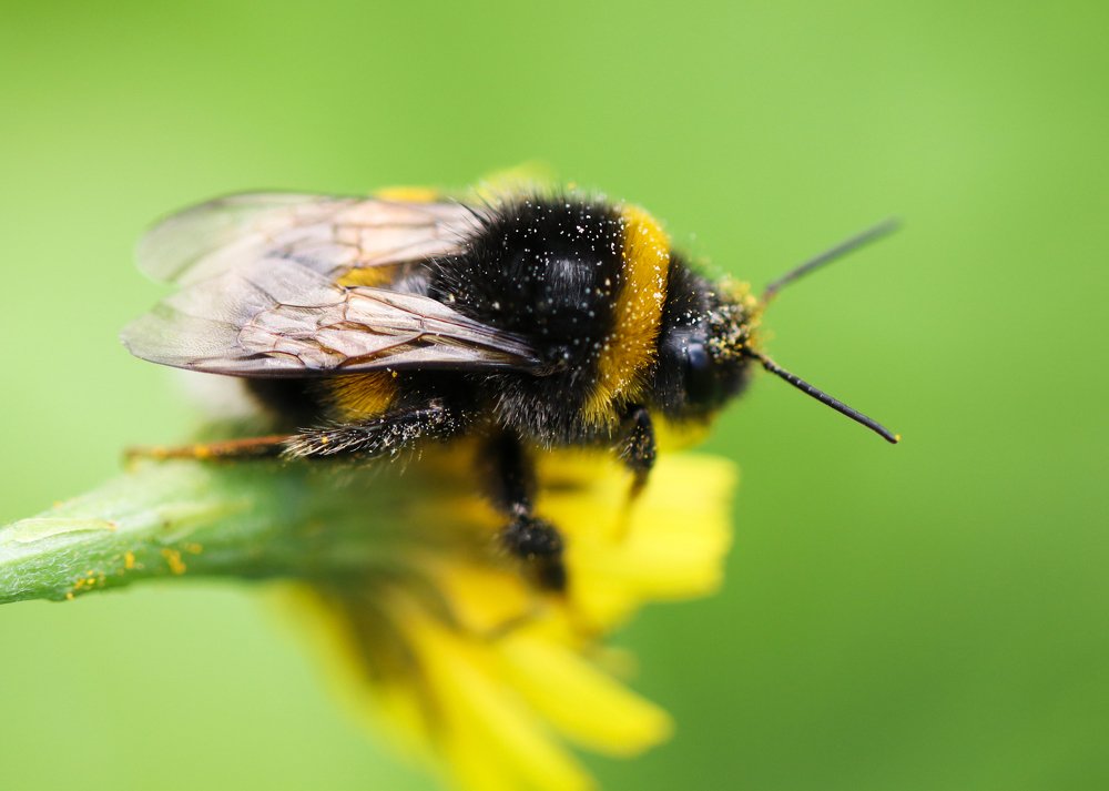 Photograph by Evgeniia Iakimenko