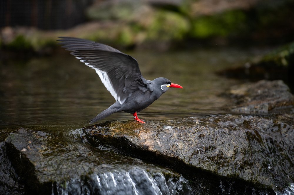 Photograph by Юлия Борт