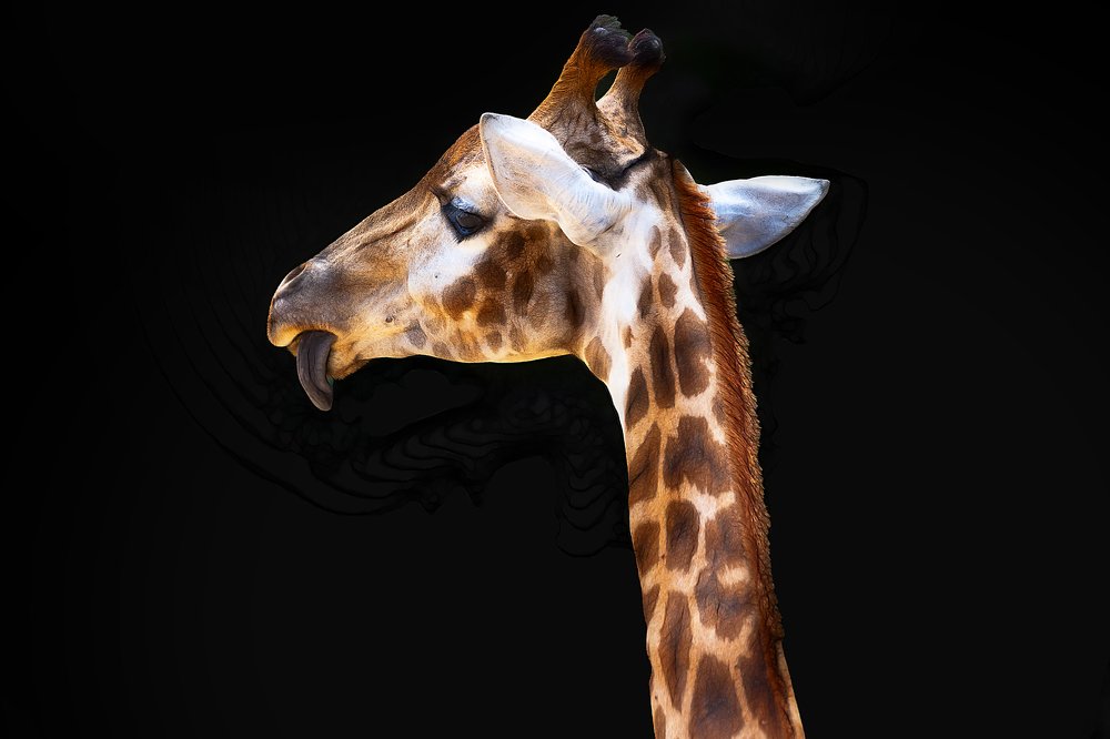 Photograph by Лея Лерер