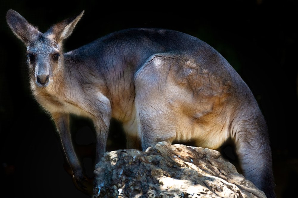 Photograph by Лея Лерер