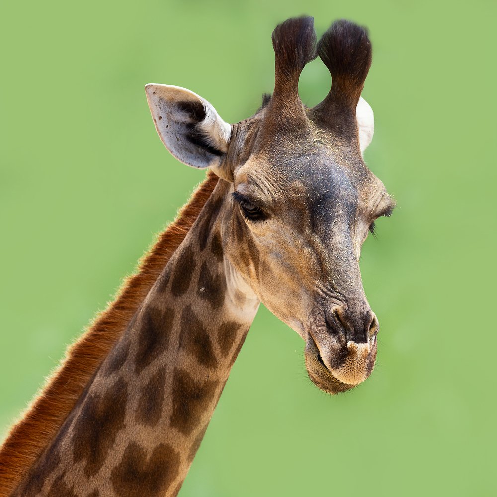 Photograph by Лея Лерер