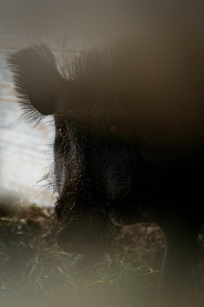 Photograph by Мила Мокина-Хайруллова