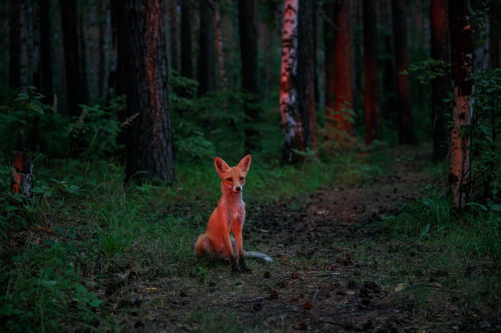 Photograph by Мила Мокина-Хайруллова