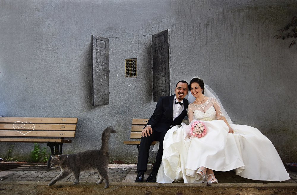 Фотография автора AYLIN EROZCAN