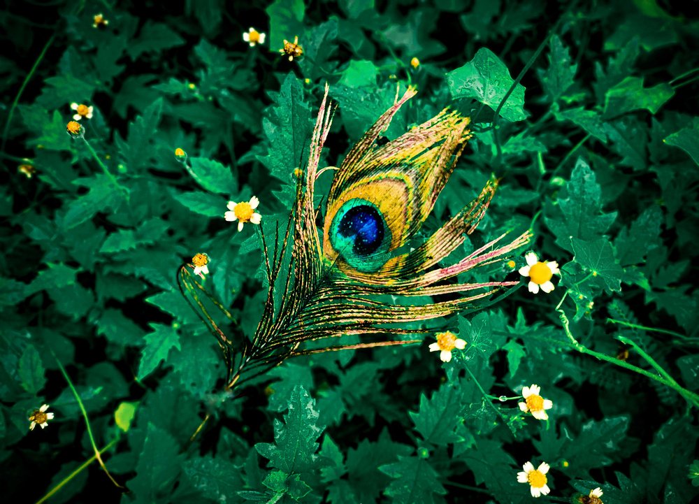 Photograph by Anant Jodhani