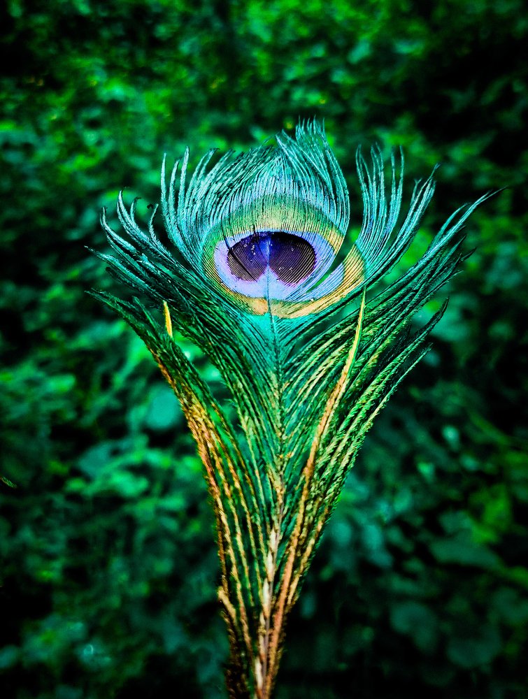 Photograph by Anant Jodhani