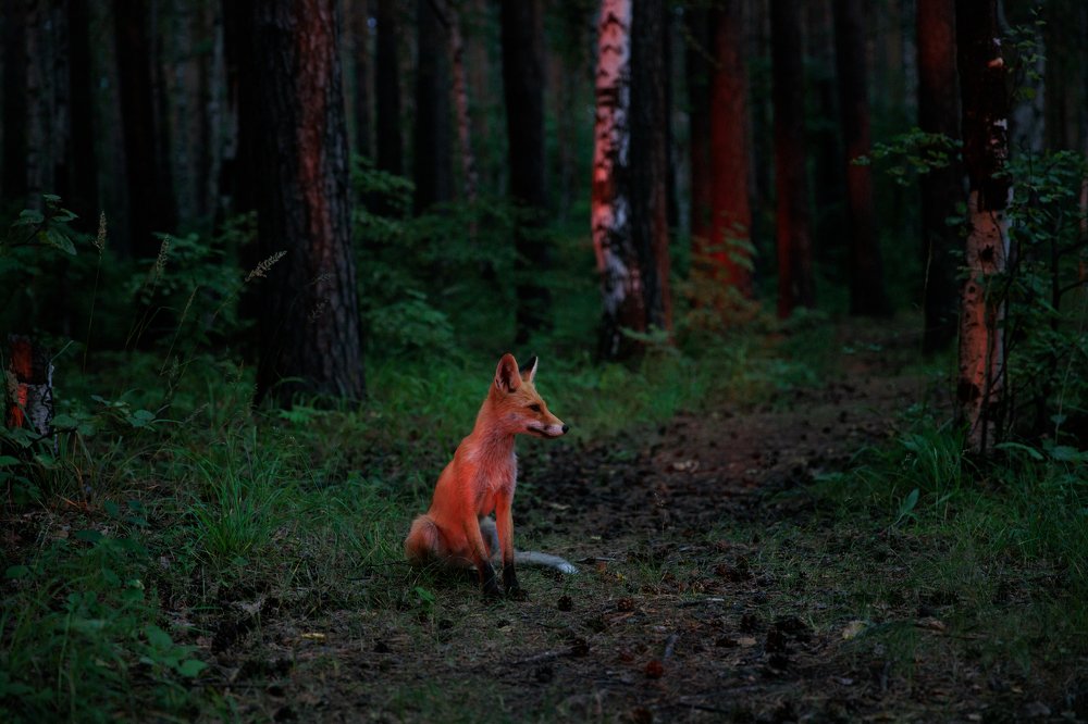 Photograph by Мила Мокина-Хайруллова