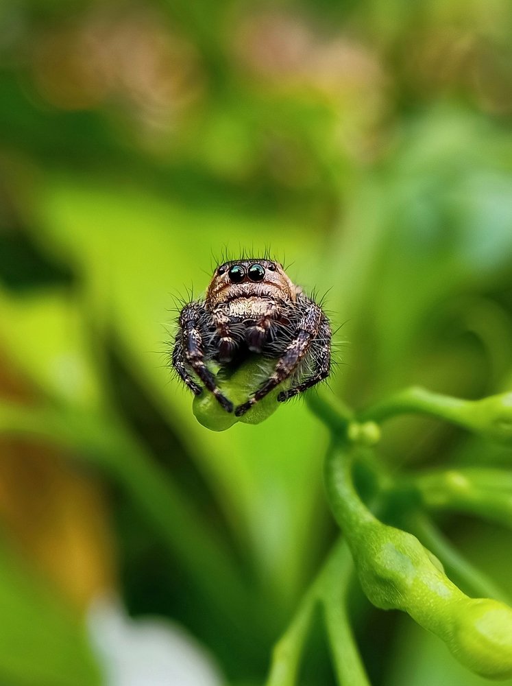 Photograph by Pandey Shubham