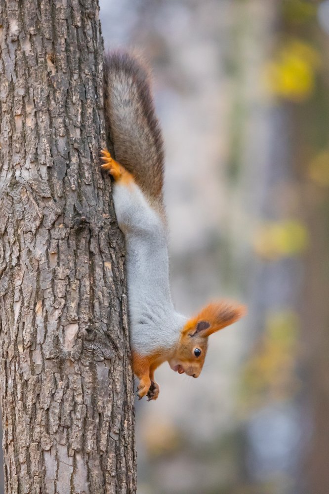 Photograph by Дмитрий Чудинин