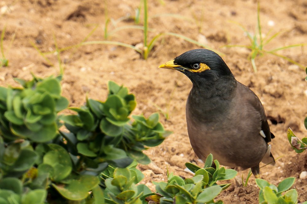 Photograph by Сергей Тригуб