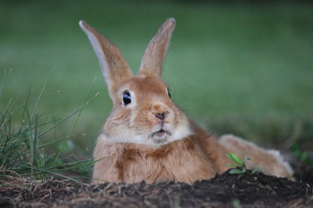 Photograph by Алексей Кремнёв