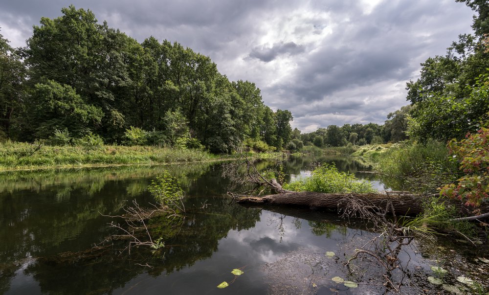 Photograph by Сергей Тригуб