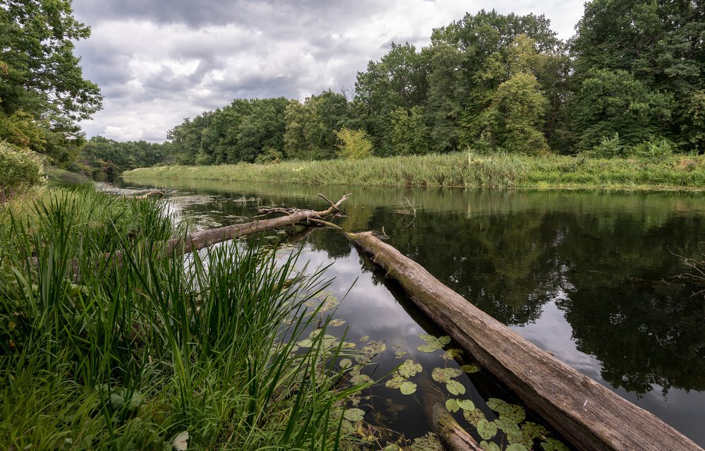 Photograph by Сергей Тригуб