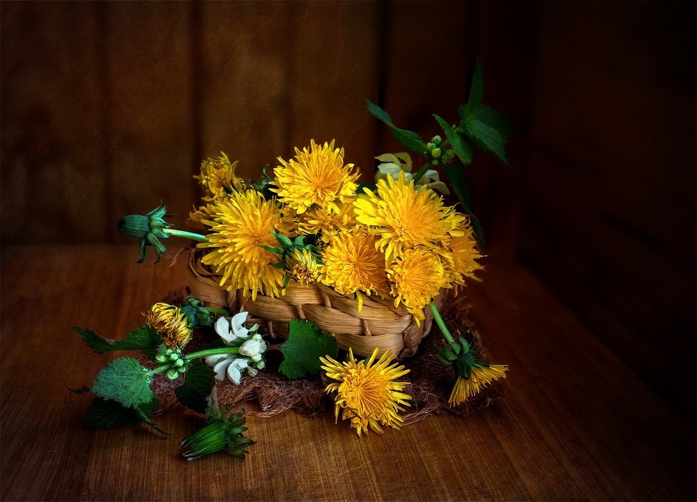 Photograph by Марина Брыдня