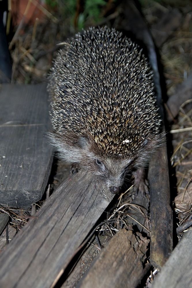 Photograph by Юрий Варюхин