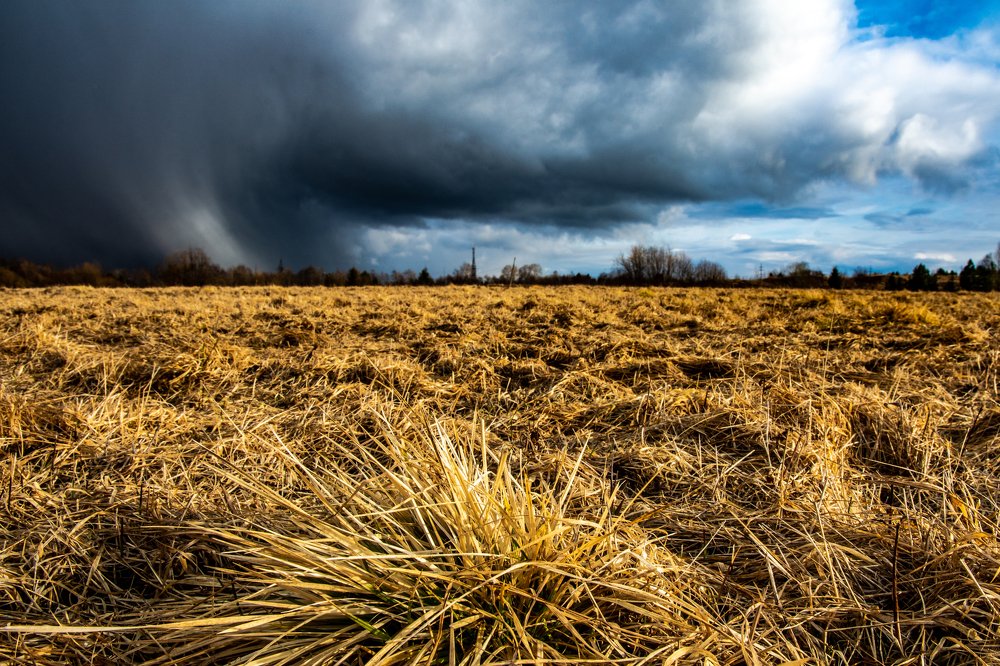 Буря над полем.