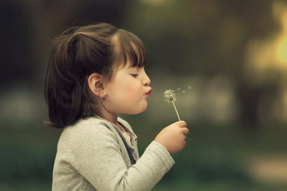 Photograph by Andrea Narváez Rivera