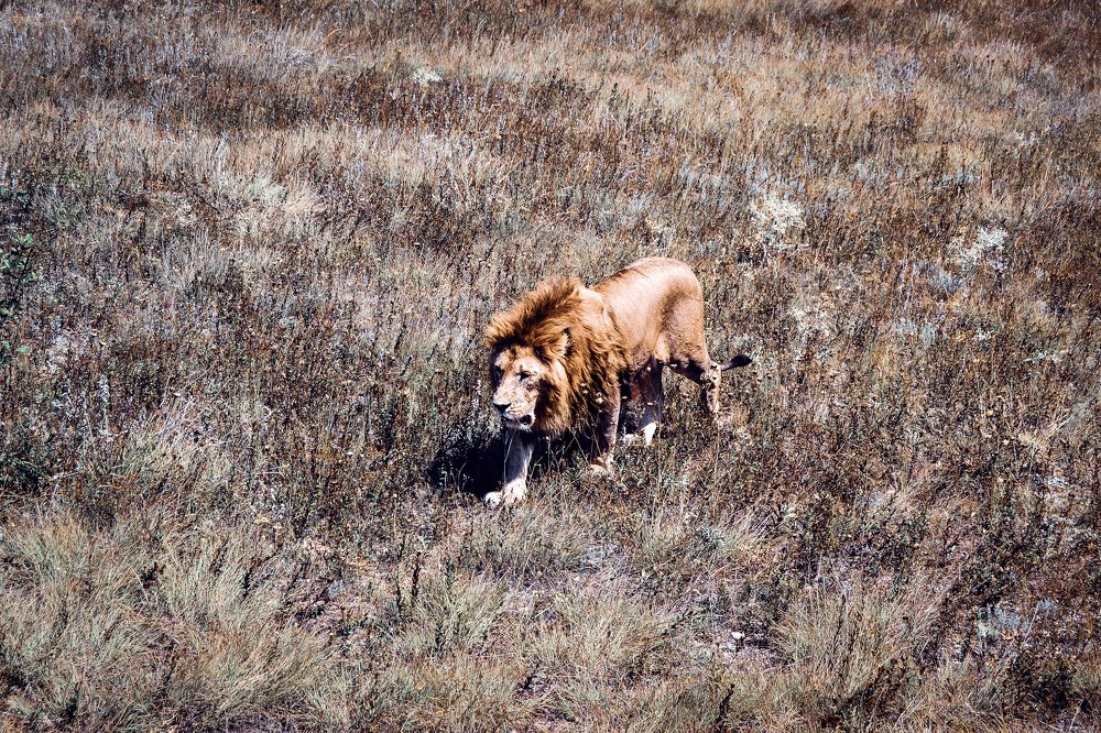 Photograph by Светлана Перминова