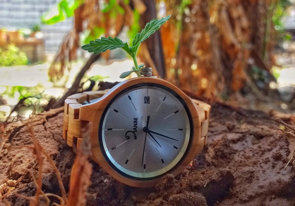 Grow With Time