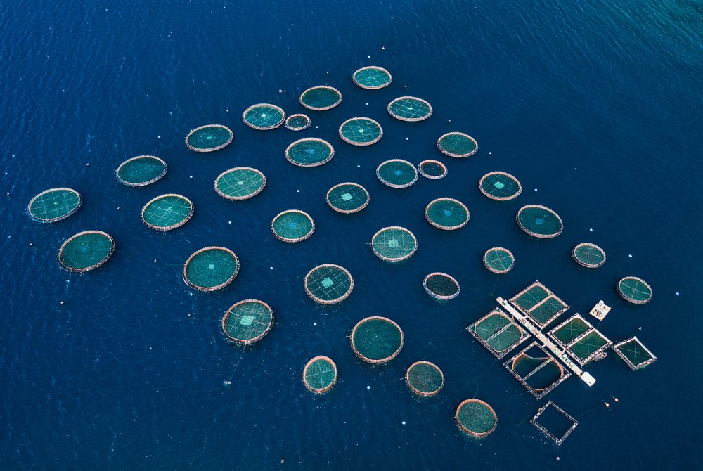 Photograph by Alexey Nikitin