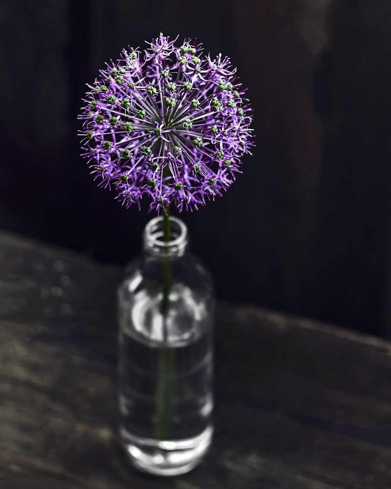 Photograph by Александр Гусаров