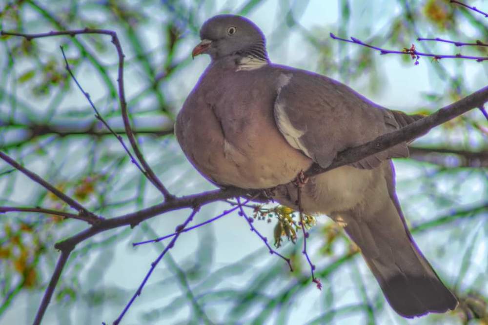 Photograph by SIMONE CIULLI