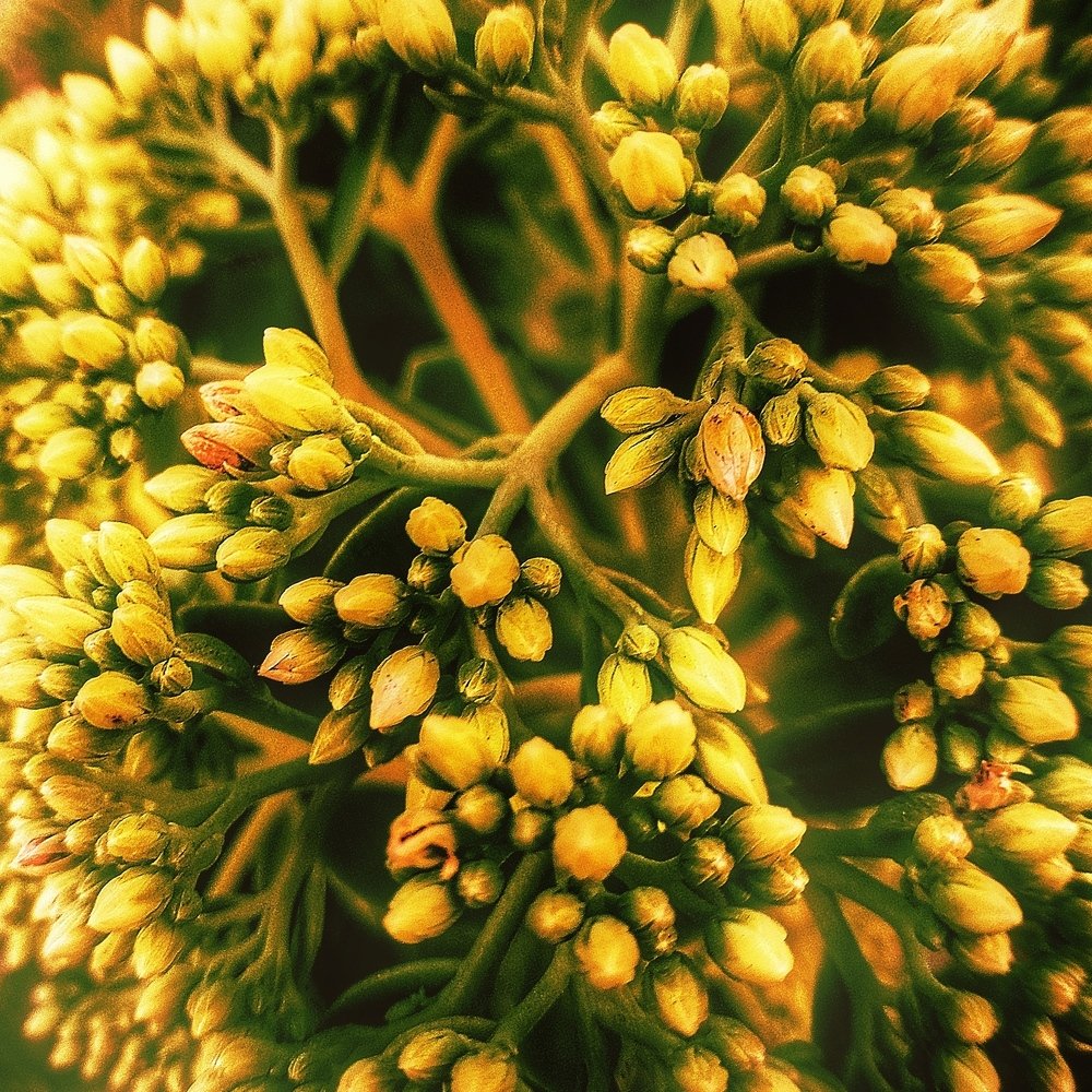 Фотография автора Сергей Побережниченко