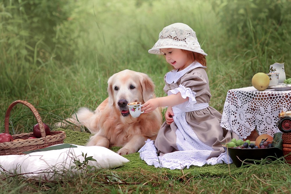 Photograph by Елена Шевчук