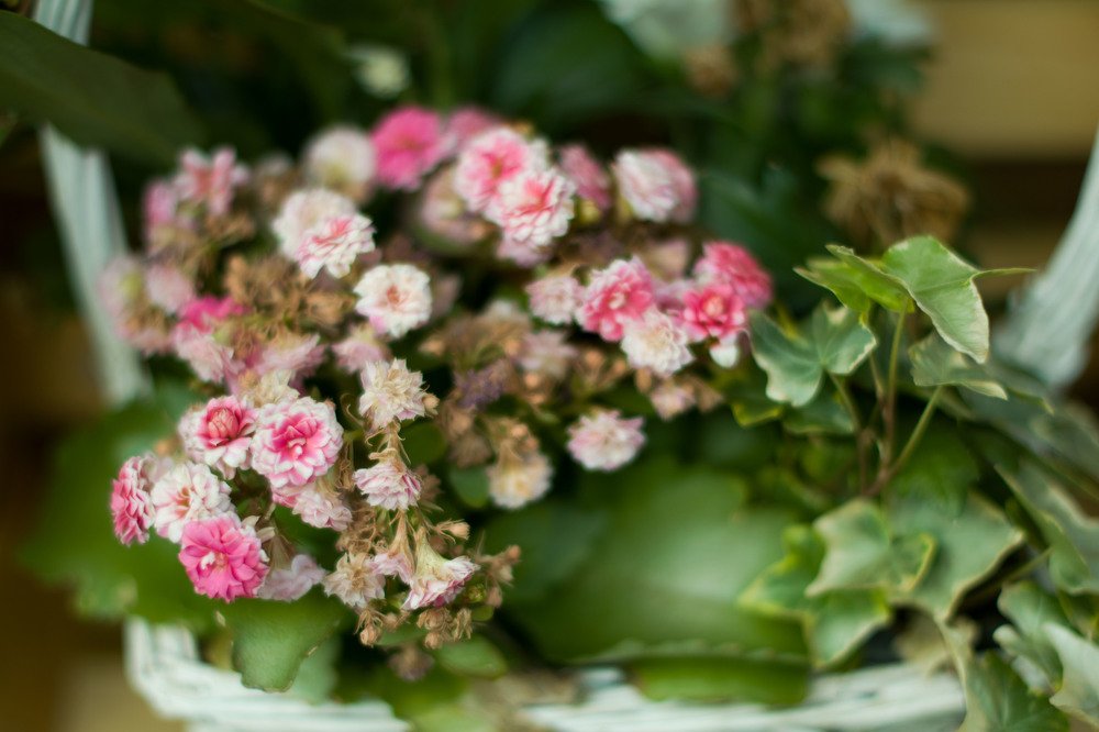 Photograph by Malgorzata Pomietlo