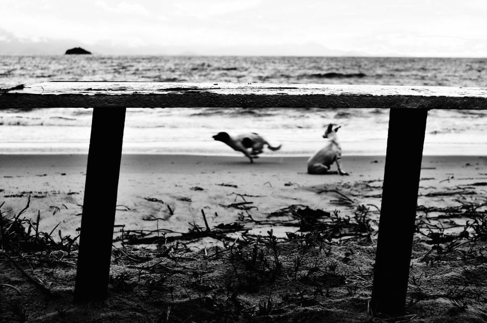 Photograph by Bruca Manigua