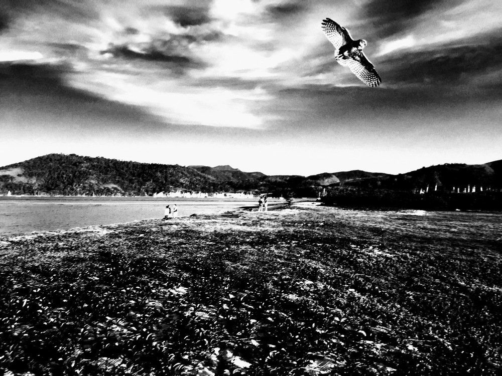 Photograph by Bruca Manigua