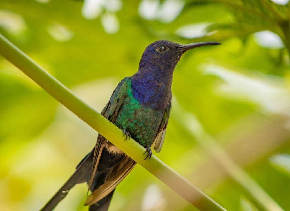 Photograph by Everson Carvalho