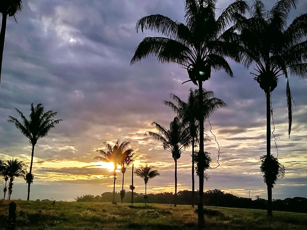 Photograph by jorge eliseo torres plazas
