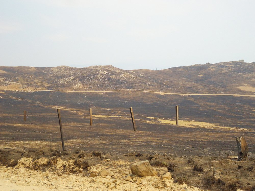 Photo #4869926