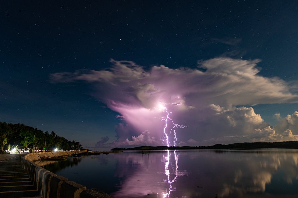 Photograph by Janelle Alegria