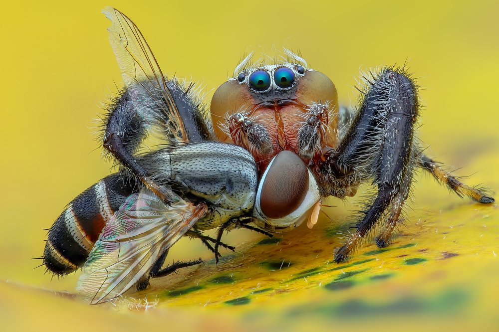 Photograph by Ngọc Trần