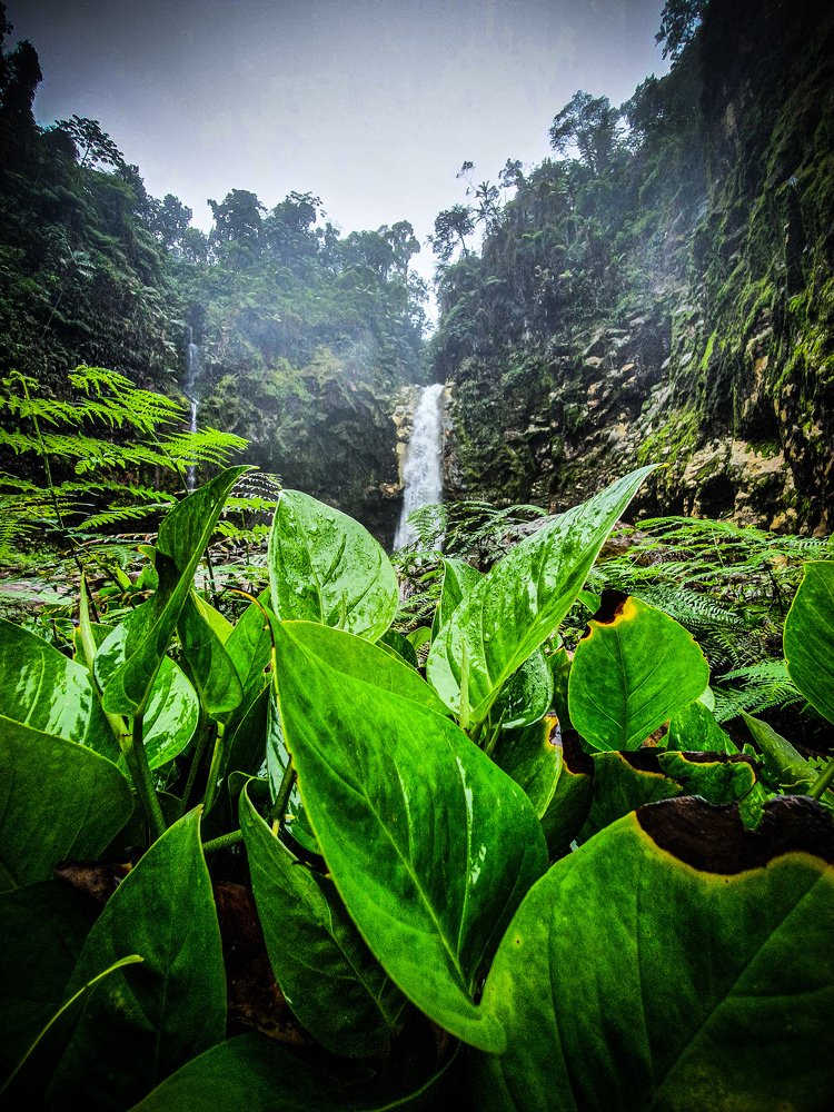 Фотография автора Jose Melendez