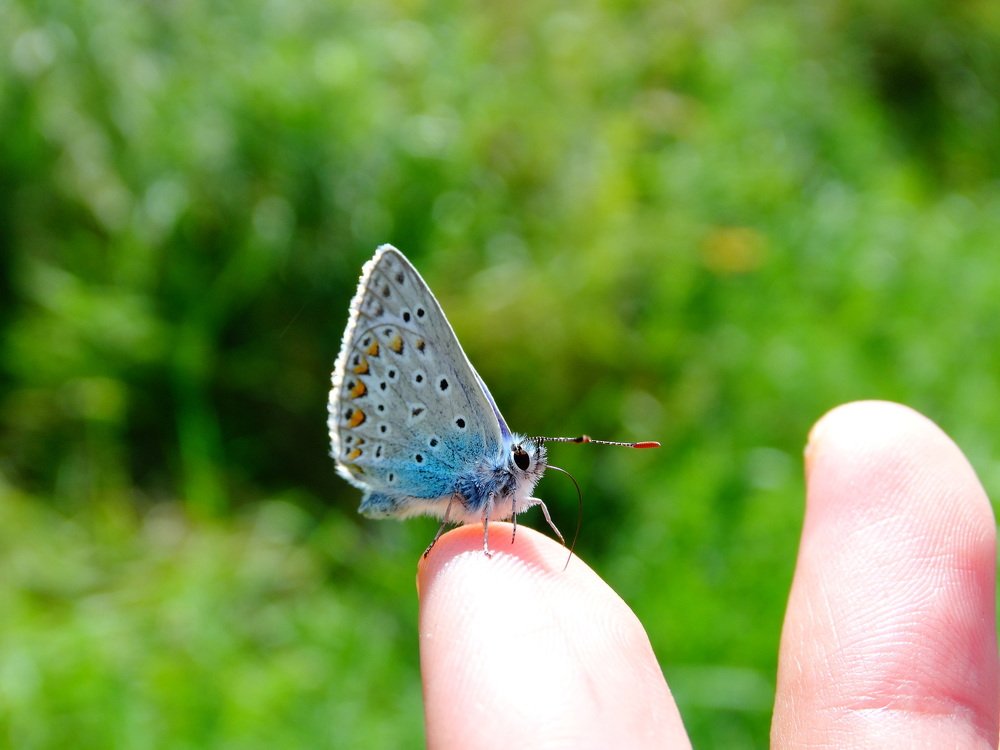 Photograph by Александра Семенихина
