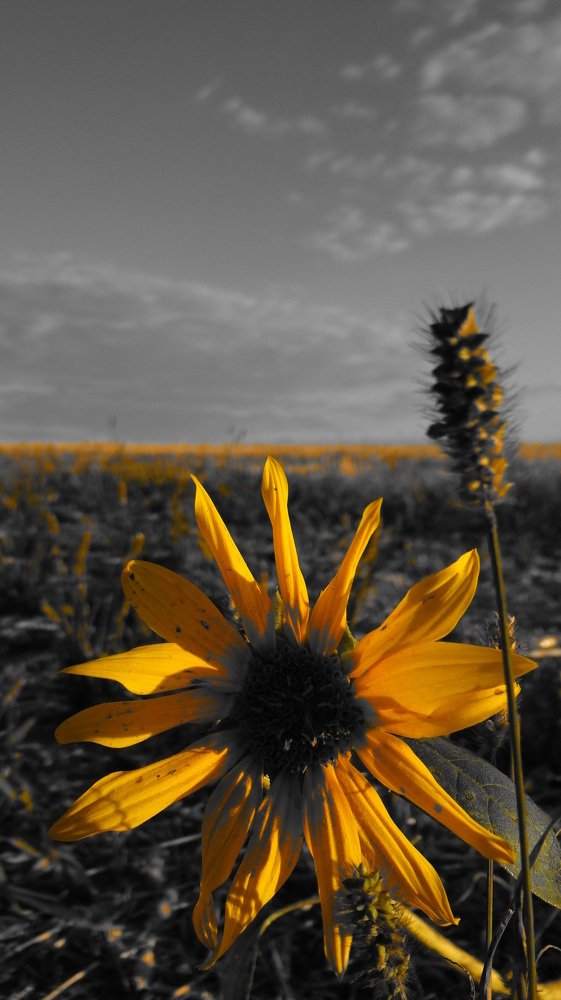 Photograph by Александра Семенихина