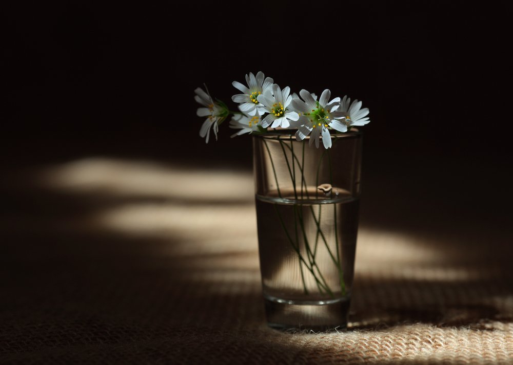 Photograph by Вадим Морозов