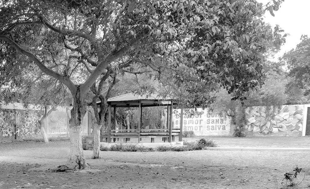 Photograph by Omar Marmanillo Prado