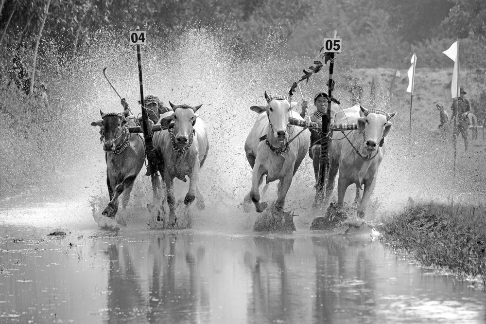 Photograph by Sangnguyen