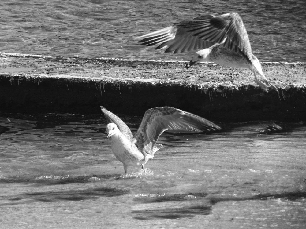 Photograph by Tanja Maric