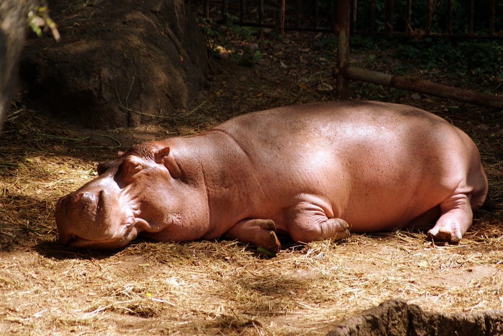 Photograph by Иван Серебряков