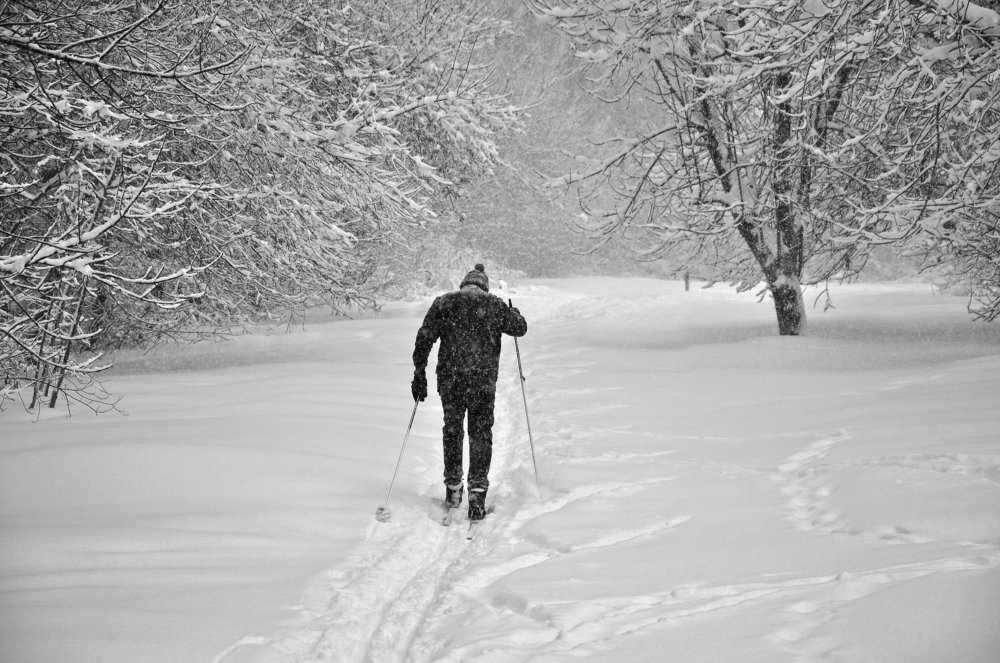 Фотография автора Коротков Алексей