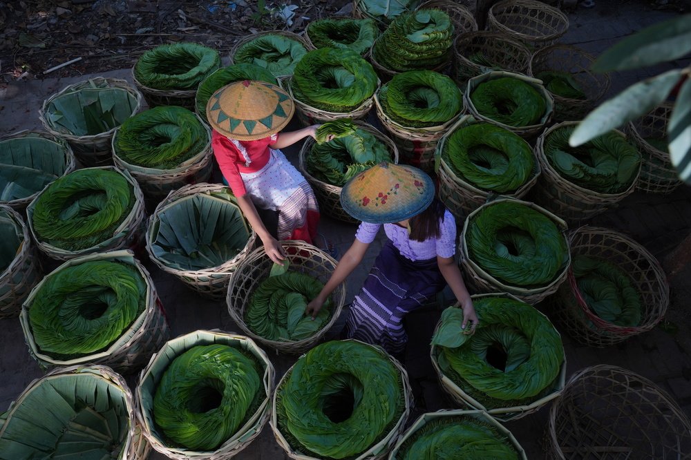 Photograph by Zayar Lynn